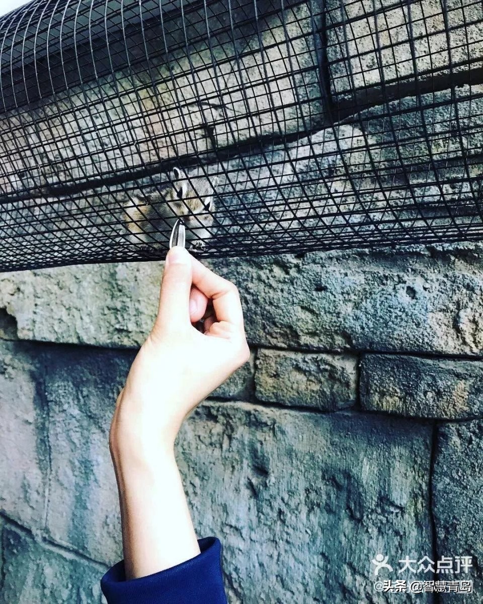 青岛威海烟台夏天哪个凉快,青岛夏季游玩攻略大全