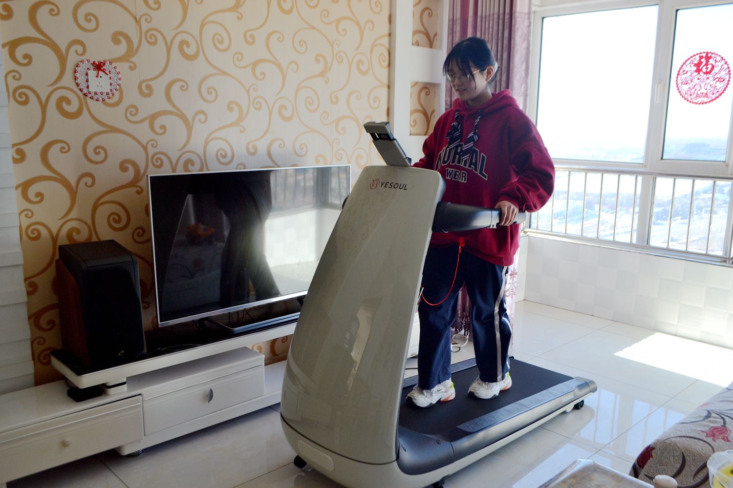 因为老罗入坑!入手了野小兽P30跑步机,坚持了半个月谈谈感受