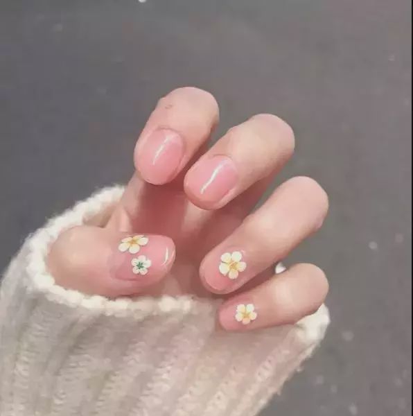 权志龙关于爱情,关于权志龙小雏菊所有资料