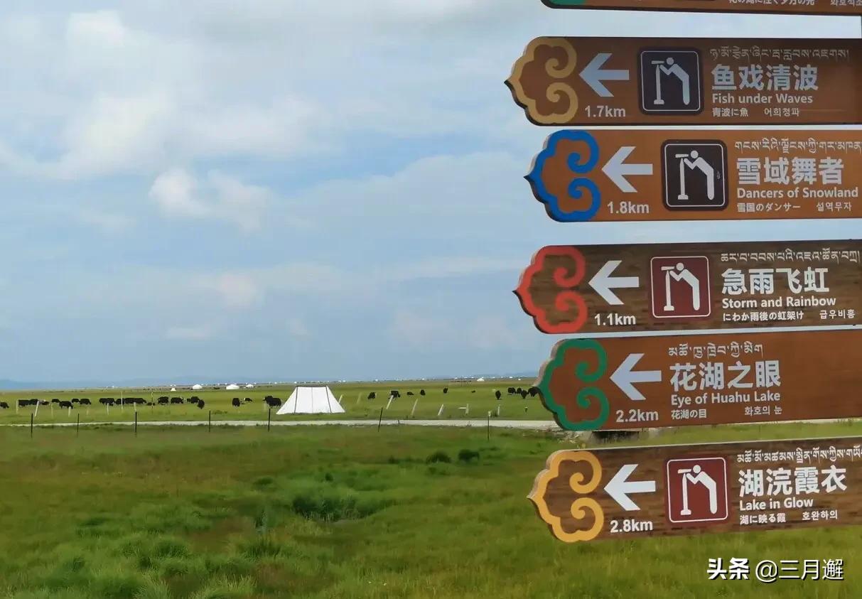 下雨天的若尔盖能去吗,阴雨天的若尔盖花湖