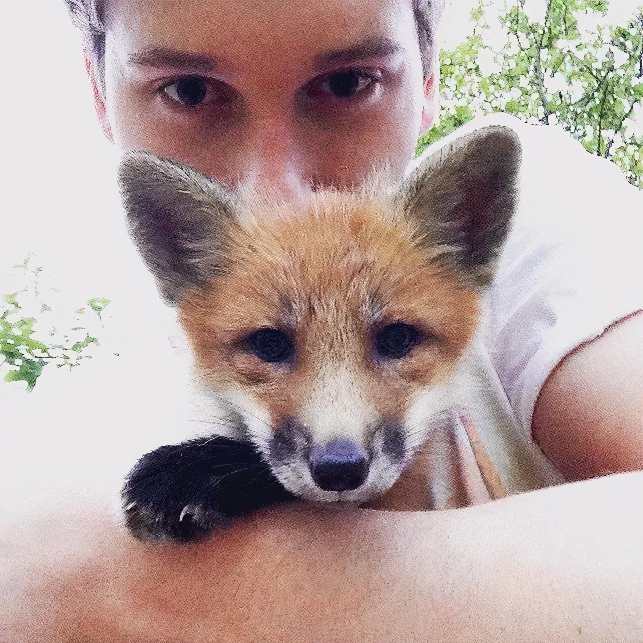 俄罗斯小哥救了兔狲,俄罗斯小哥救了只兔狲