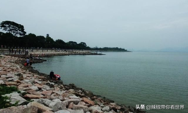 祖国大好河山深圳,深圳之无限风光