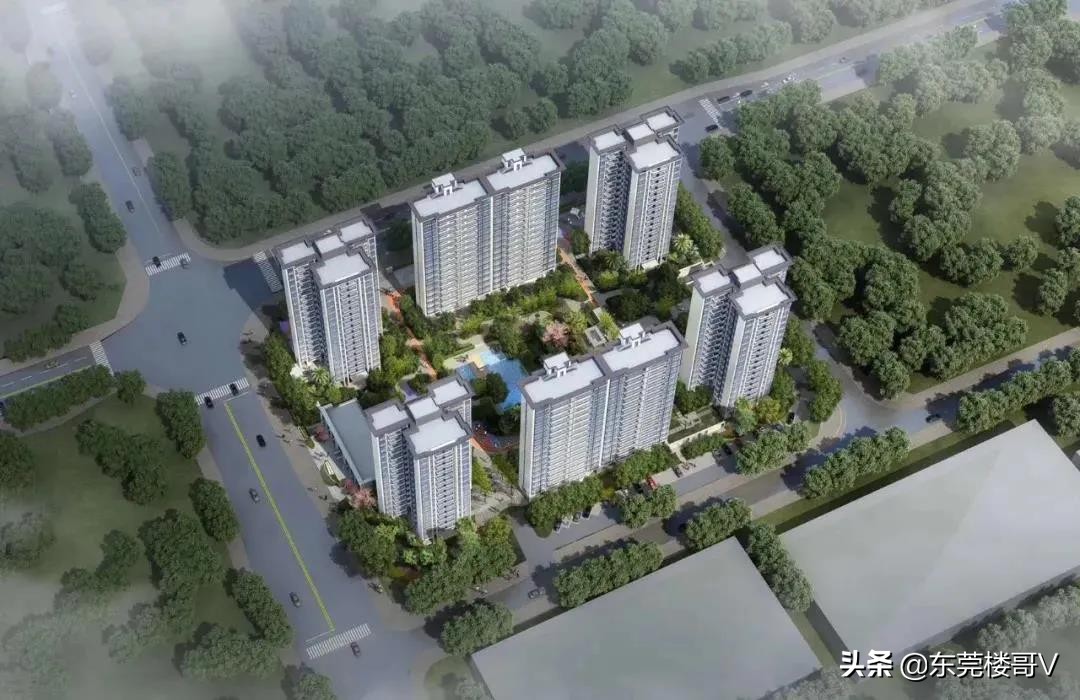 沙田碧桂园柏丽湾二期怎么样,沙田碧桂园柏丽湾入住率高不高