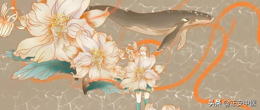 血虚闭经24味中药的药方,女性治疗闭经有哪些食疗方法