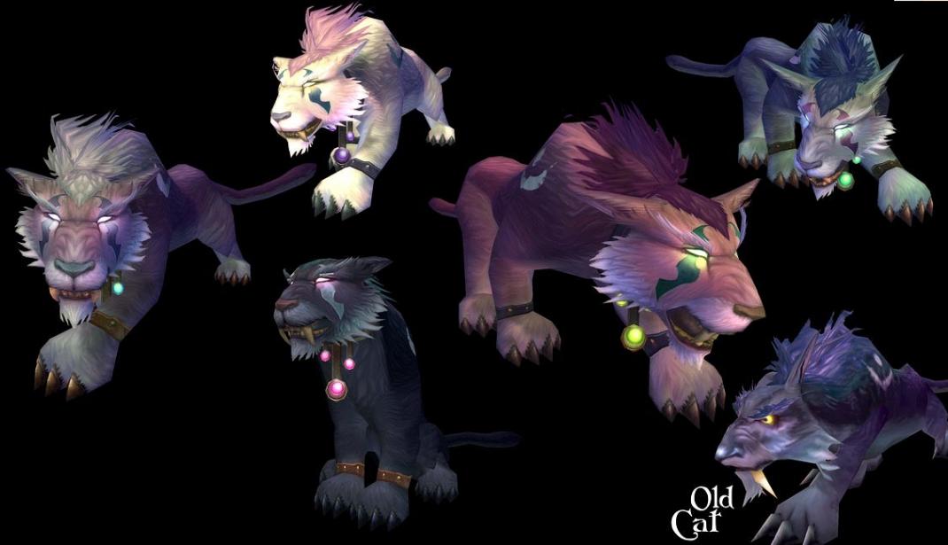 魔兽世界德鲁伊为什么是孤儿,魔兽世界德鲁伊用哪个好