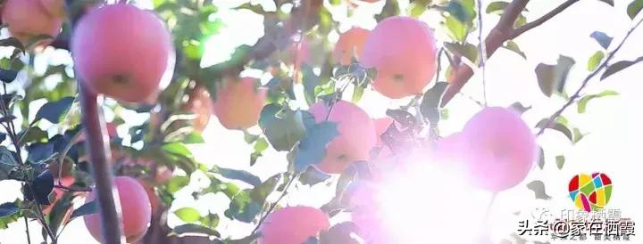 栖霞评为宜居城市,栖霞市地标建筑