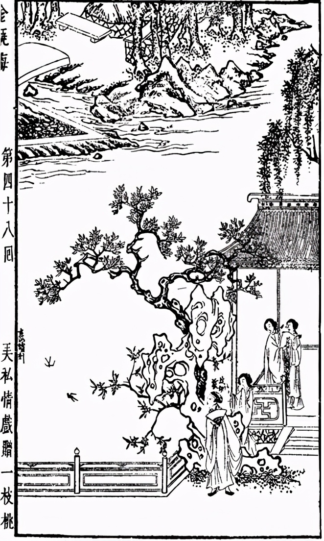 《*瓶金**梅》第四十八回解读