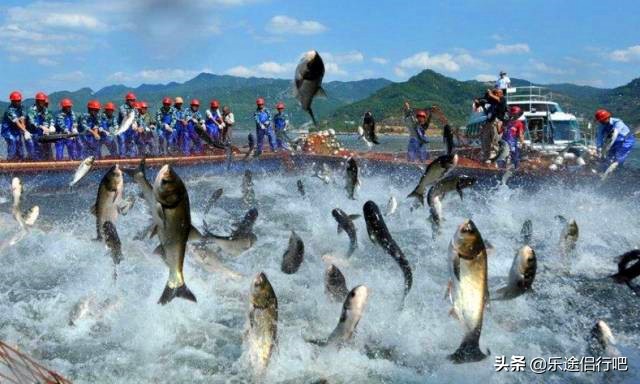 信阳被吐槽的地方,信阳南湾湖游玩有感