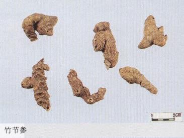 怎样辨别三七真假最简单的方法,真假三七粉如何辨别