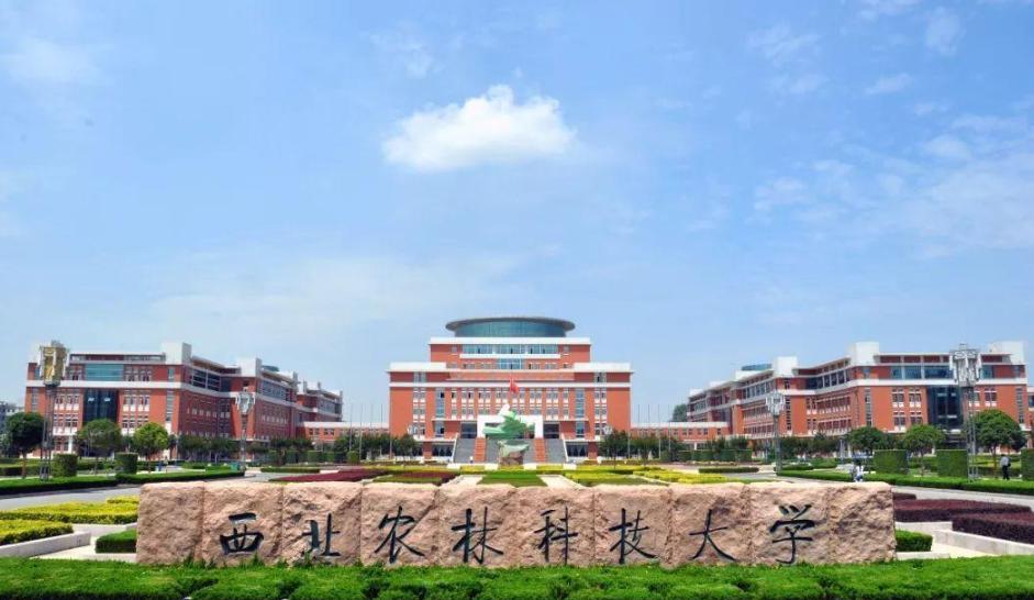 陕西最好15所大学排名,陕西综合实力最强的十所大学