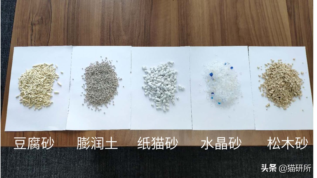 选猫砂防臭,天然矿石猫砂推荐测评