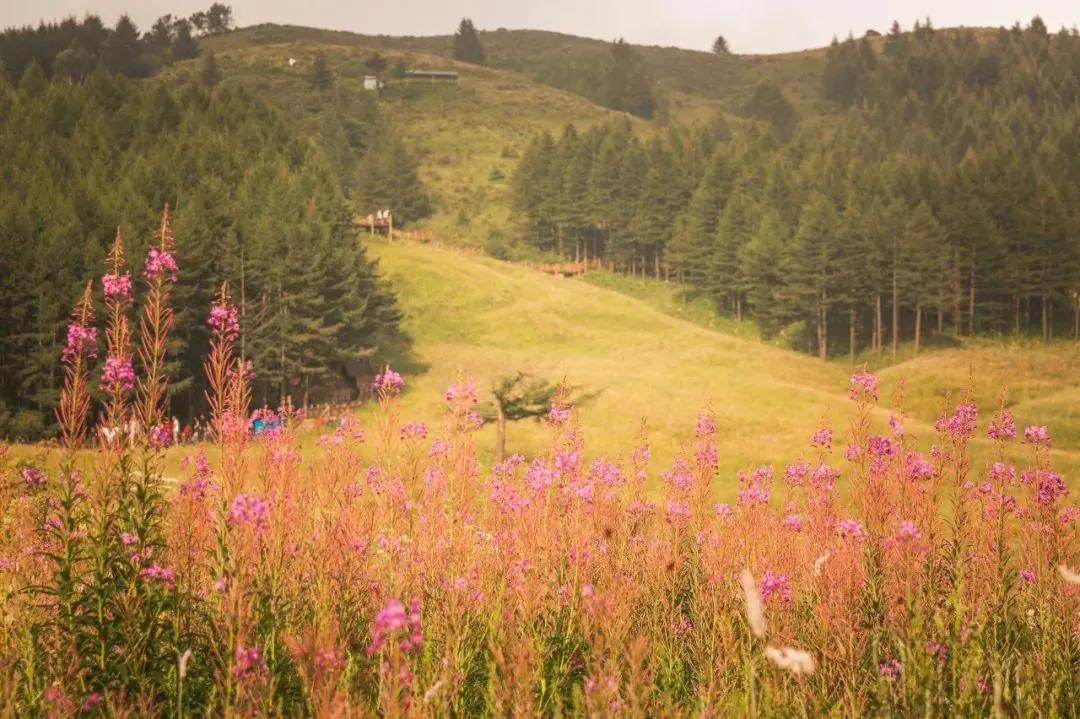14浜夸汉鍏虫敞鍞愬北,鍗佸洓浜垮浗浜哄叧蹇冪殑闂