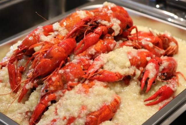 成都天府酒店自助餐,成都天府丽雅酒店预订