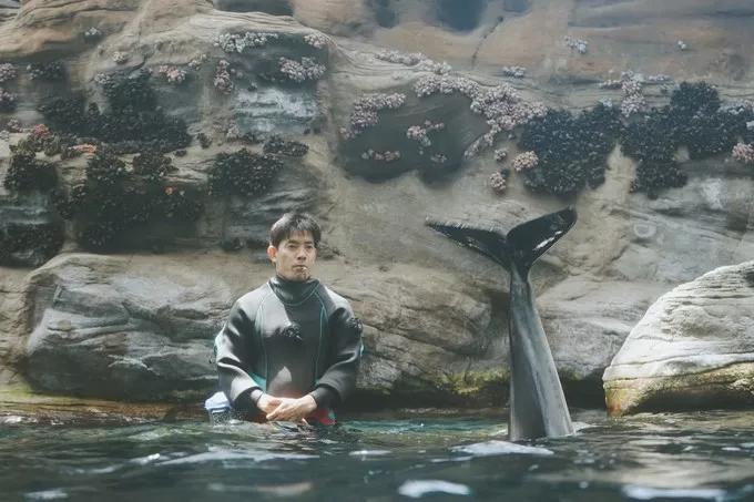 不一样的大阪三日游，瑠璃一束光，值得一来再来