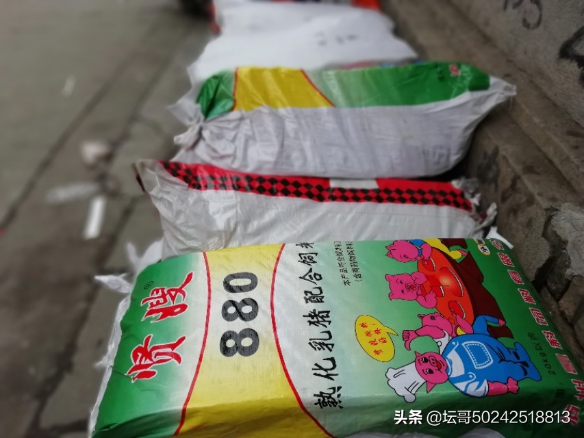 福安市赛岐挑运工用勤劳和宽厚肩膀挑起一片天