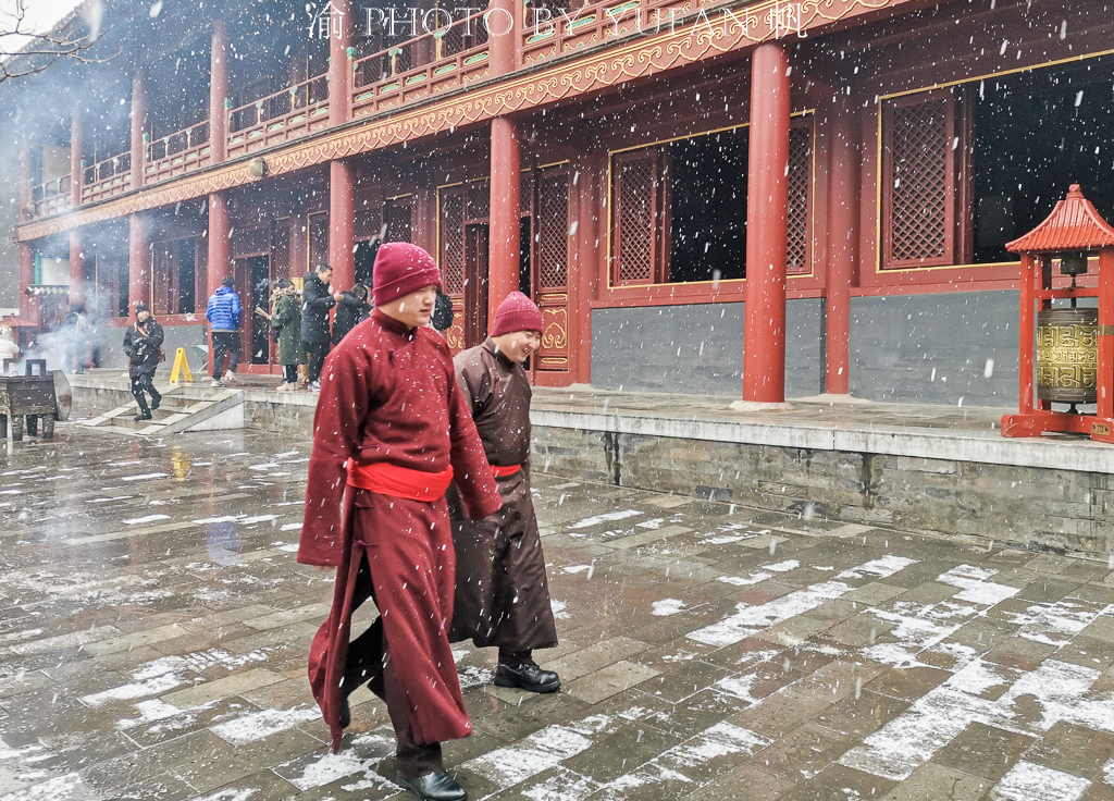 北京雍和宫烧香开放了吗,故宫下雪就成了紫禁城为什么