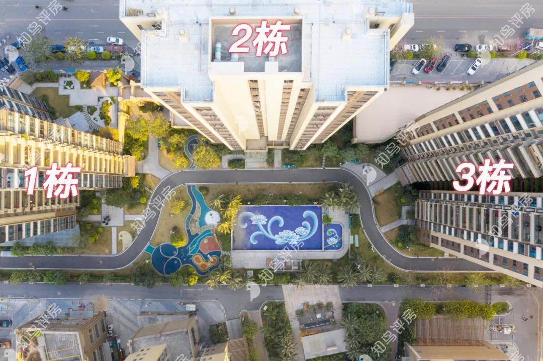 长安碧桂园绿化,长安碧桂园凤凰智谷