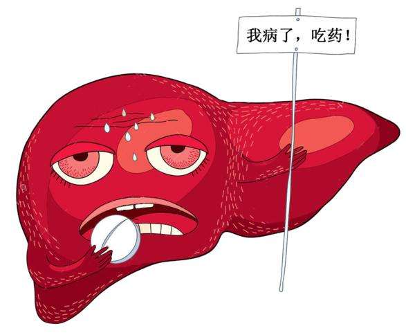 得了肝病这样吃可以帮助肝脏恢复,肝病注意事项和饮食禁忌
