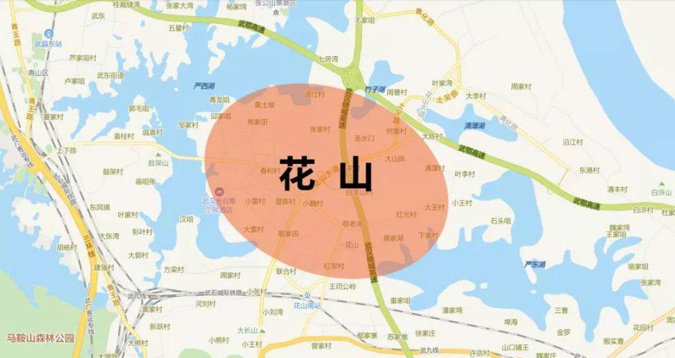 花山片区优缺点,花山板块发展潜力