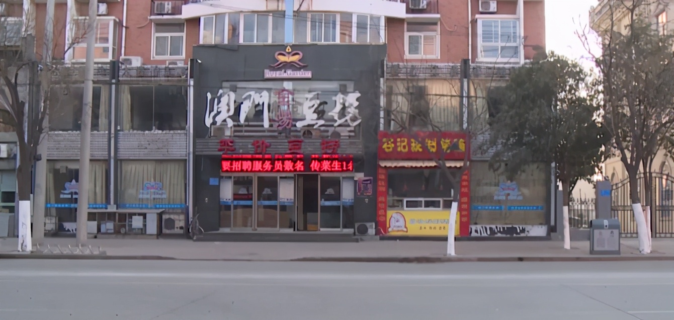 漂亮高材生求职,漂亮高材生