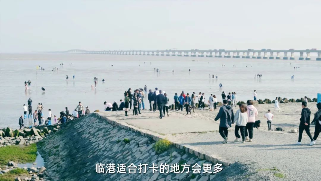 上海五大新城房价跌幅榜,上海五大新城哪个房价升值最快