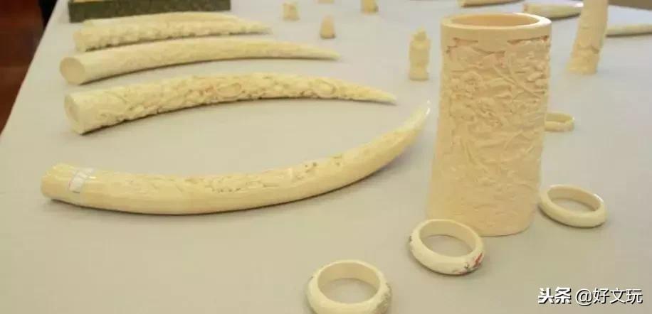 象牙暴利的特征有哪些呢,象牙工艺品骗局