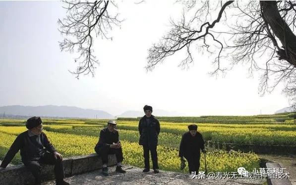 为什么农民的孩子不想做农民