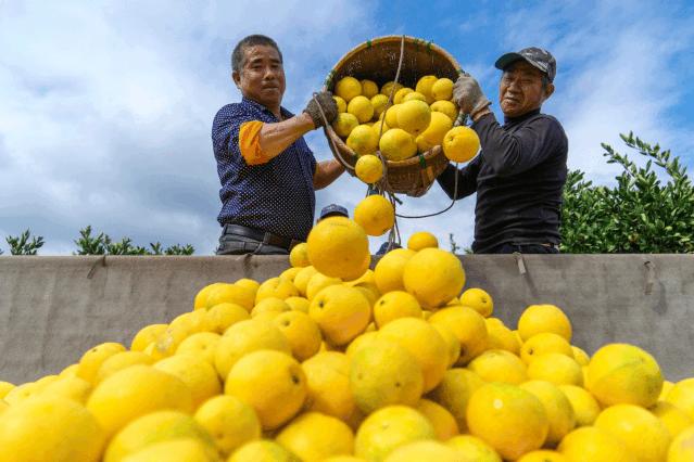 春游江淮旅游线路图片欣赏,春游江淮请您来