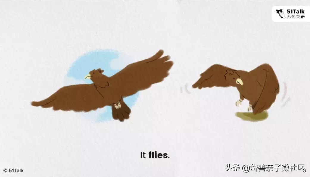 英语绘本howdoyougotoschool,英语绘本故事move