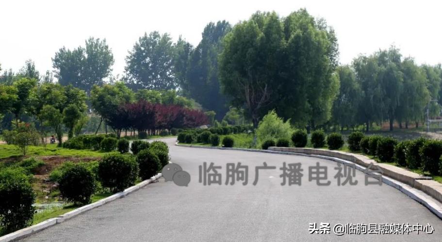 “绿满城乡·秀美临朐”系列报道（八）蒋峪镇篇：勇立潮头迎风起水墨蒋峪谱新篇