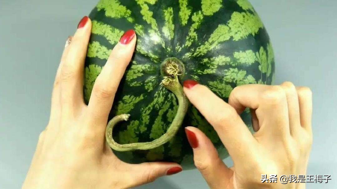 买西瓜时,别只会傻傻用手拍,多加2点,保证挑的西瓜沙又甜