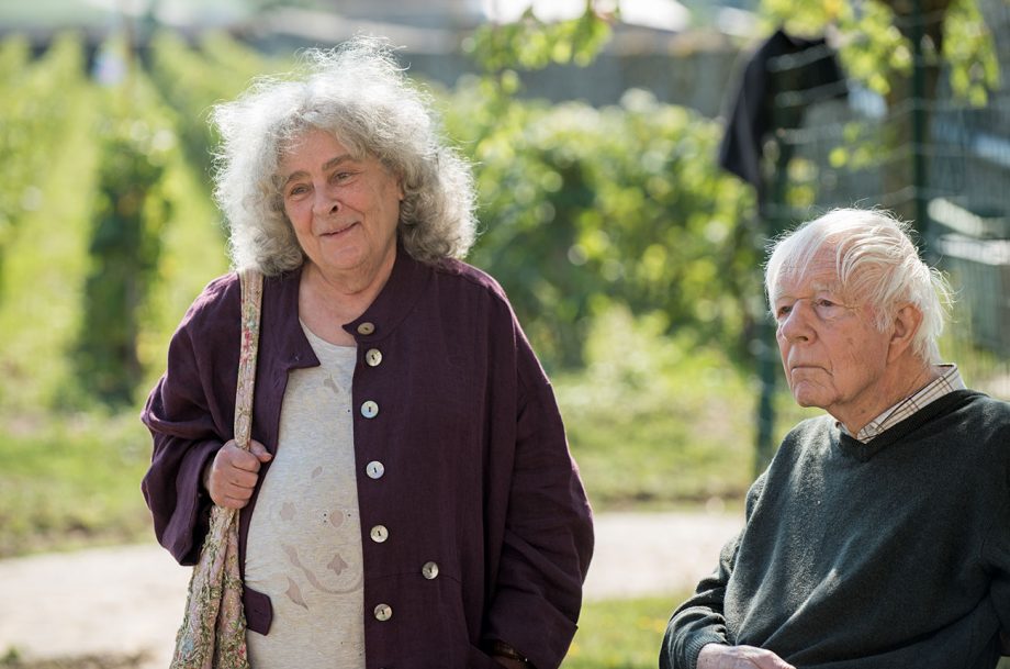 2019年葡萄酒风云人物：勃艮第女王贝基·沃瑟曼-霍恩