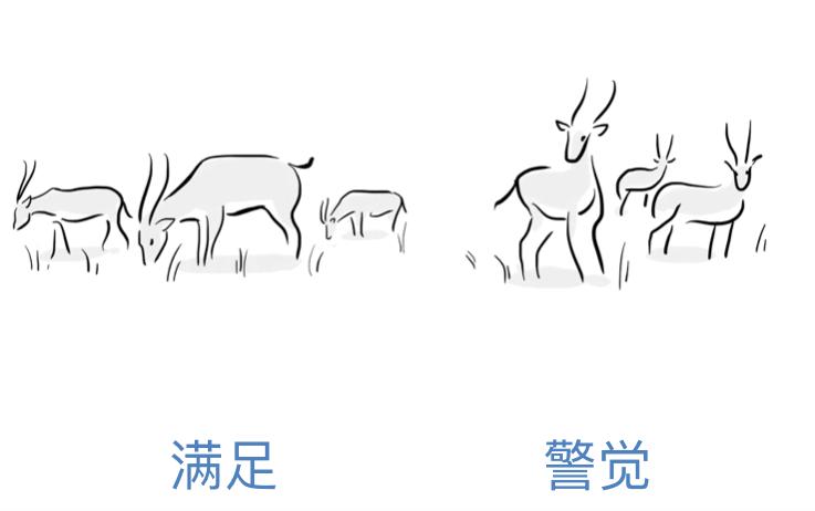 如何才能不焦虑全文阅读,如何才能不焦虑抑郁