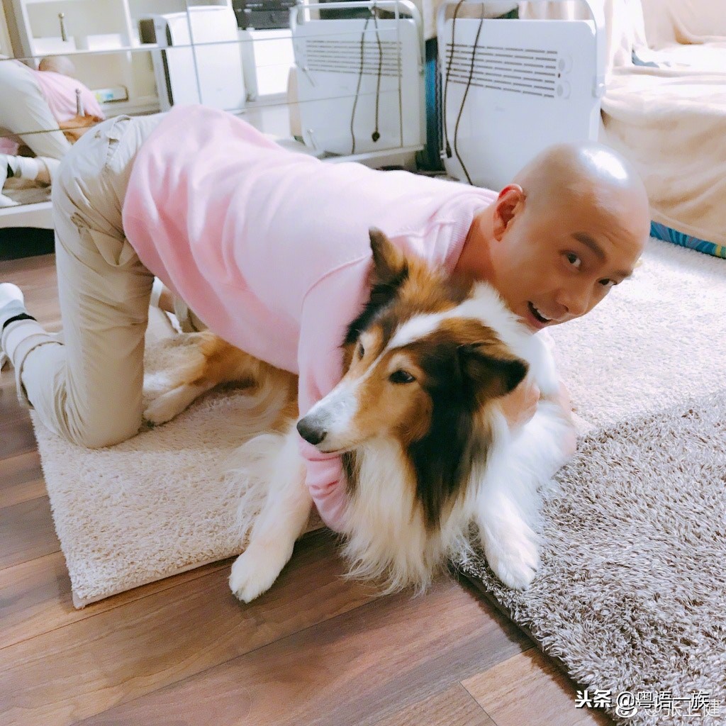 tvb跳跃生命线第25集好感人的画面,跳跃生命线10-15第五集剧情介绍