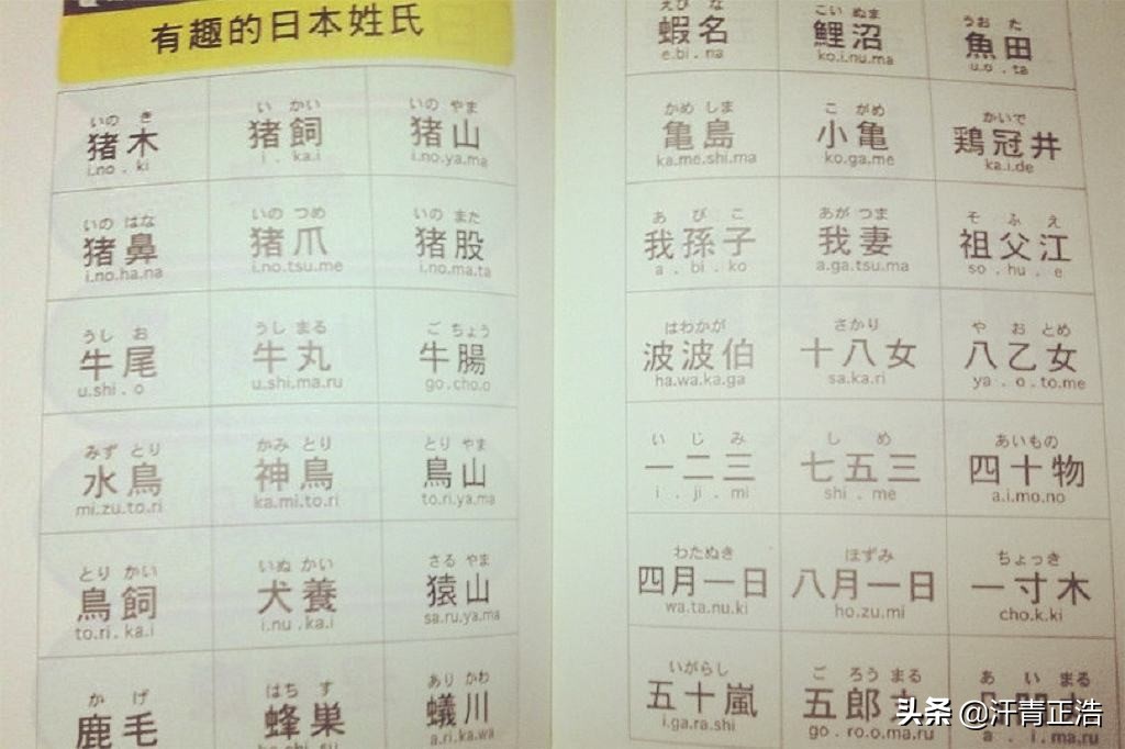 我孙子是日本的姓氏吗,日本有土肥圆的姓氏吗