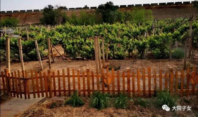 军旅故事分享,军营故事未完待续