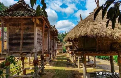 熊猫专列贵州十日游,熊猫专列旅游