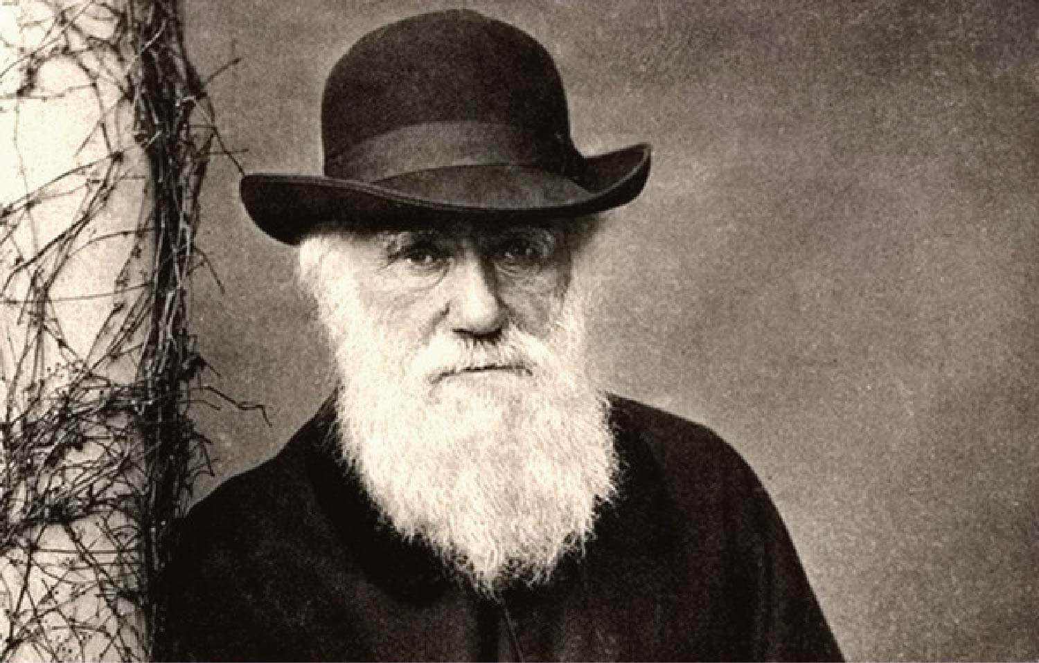 演化是关于物种起源的理论,人类起源学说达尔文的进化论