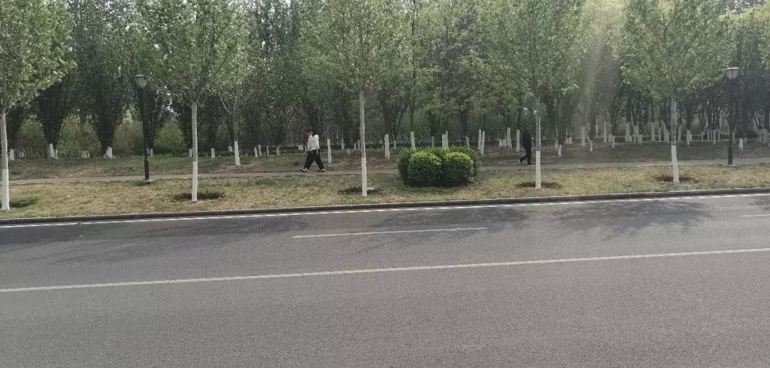 武清低总价优质小区,武清不值得买的小区排名