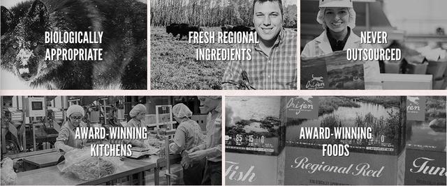 怎么快速了解猫狗粮,宠物到底有没有必要吃宠物粮