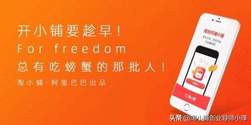 淘小铺的属性是什么,淘小铺是怎么赚钱的