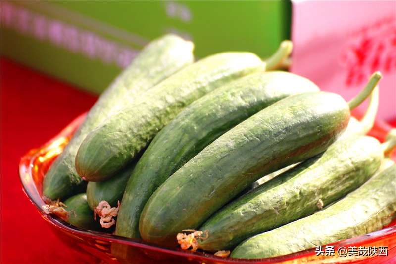 水果之乡陕西大荔,不讲理的大荔县典故