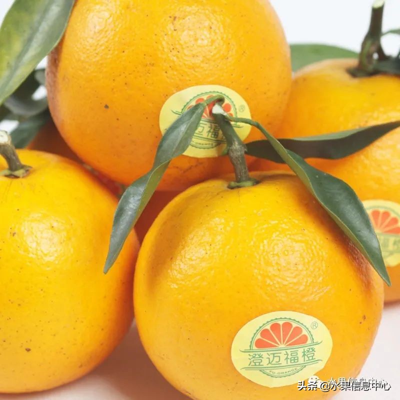 水果天堂：海南水果品种及上市时间表