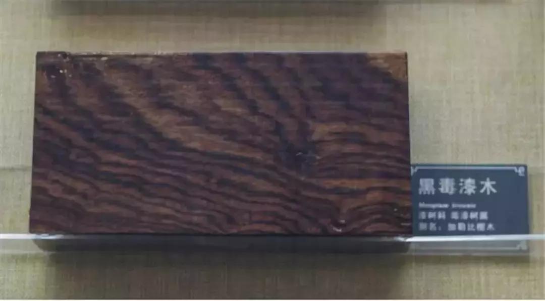 大叶黄花梨是什么样的,大叶黄花梨和白酸枝