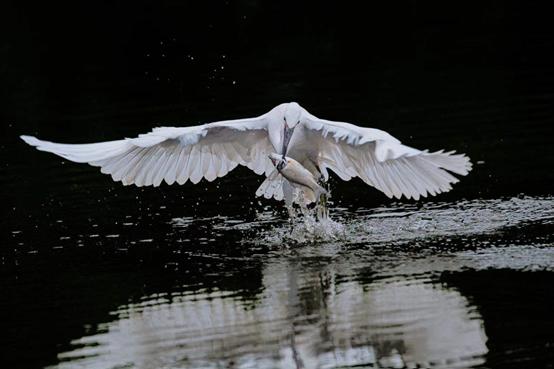 南京江宁区绿水青山,南京青山绿水蓝天白云