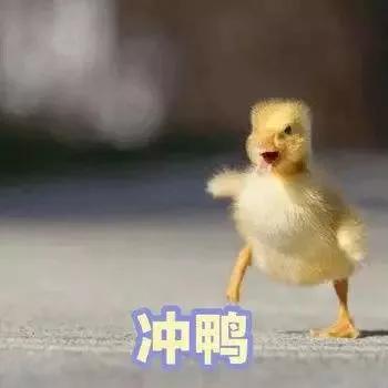 小升初自荐信老师寄语,小升初简历自荐信