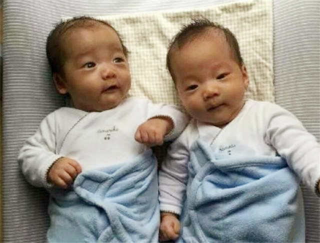 双胞胎被查出“同母不同父”,亲子鉴定师:这概率比中彩票还低