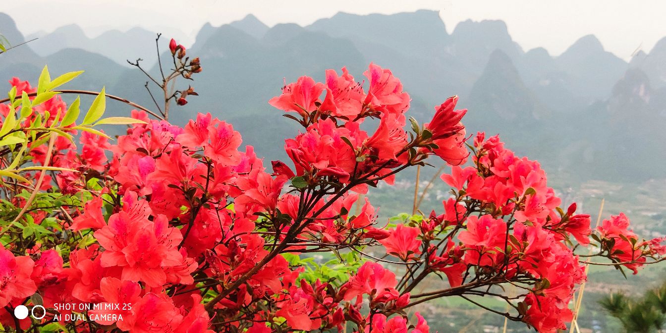 桂林第一山尧山风景区,桂林第一山