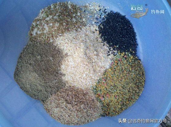 黑坑小杂鱼闹窝的解决方法,小杂鱼闹窝饵料状态怎么调整