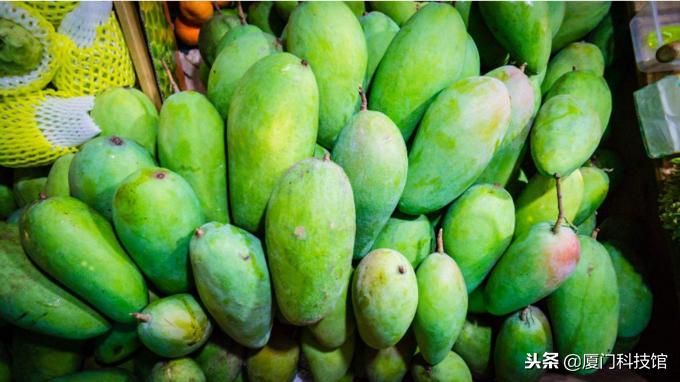 2018年厦门旅游购物陷阱,厦门旅游防被坑